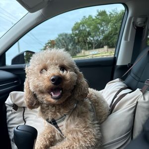 Meet your Posher, Kylie